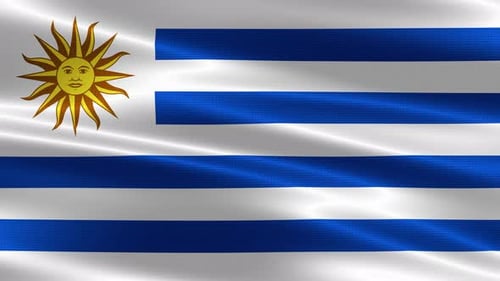 Uruguay Flag Waving Loop Animation