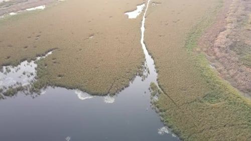 Sunrise - sunset and lake with birds fly over water