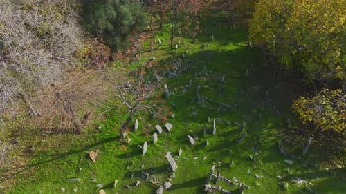 Vue aérienne Perspective aérienne d'un ancien cimetière avec des pierres tombales moussues et des vues panoramiques
