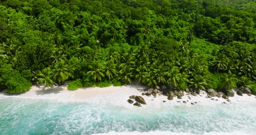Palmeras en una playa de arena blanca con olas turquesas Seychelles Mahe