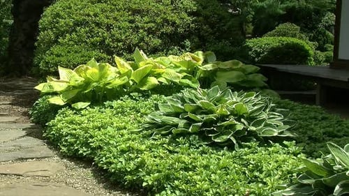 Plant beds situated between a pathway and a Japanese house.