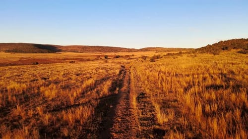 Dirt Road on a Isolated Farm in South Africa