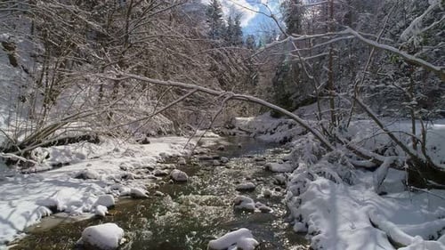 Aerial View Along a Calm Mountain River Surrounded By Magical Snowcovered Trees