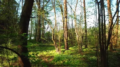 Quelle, Arboretum Rubovsky, Steinbruch und West-Dwina 45