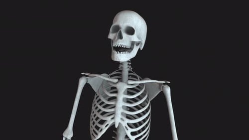 Skeleton Stood Idle Loop 03