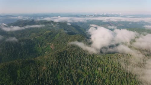 Oregon Circa-2019. Aerial View of Forest and Wilderness Area in Oregon