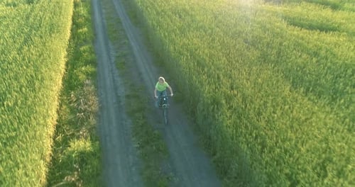 Aerial View on Young Boy That Rides a Bicycle Thru a Wheat Grass Field on the Old Rural Road