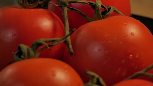 A slow motion close up shot of some tomatoes rotating, with some small water drops on their skin