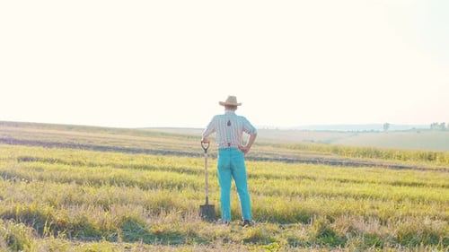 Man Agronomist Farmer in Golden Wheat Field at Sunset Male Looks at the Ears of Wheat Rear View The