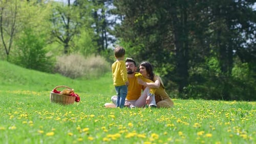 Happy Family Enjoying Sunny Picnic in Spring Park
