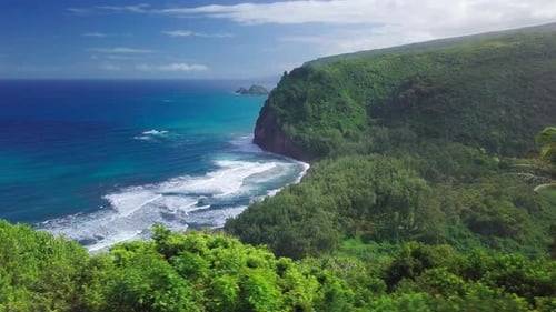 Green tropical coast