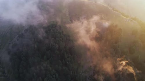 Aerial View of Forest and Mist at Sunrise