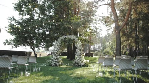Beautiful Wedding Arch Decorated with White Flowers and Greenery in the Park Pine Trees on the