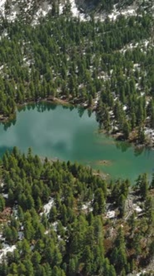 Mountain lake with snow mountains and green forest