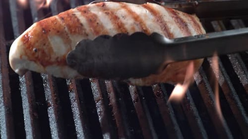 Grilled Chicken on Charcoal Grill