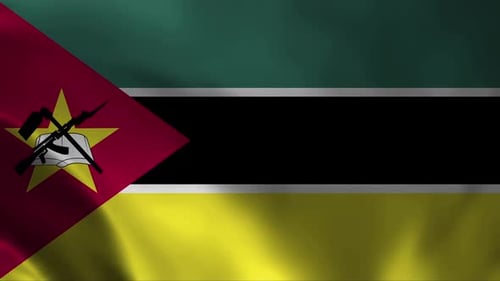 Seamless Waving Flag of Mozambique Loop Background