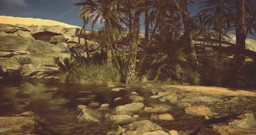 Scenic View of Palm Trees Beside a Tranquil Water Body in Desert Landscape