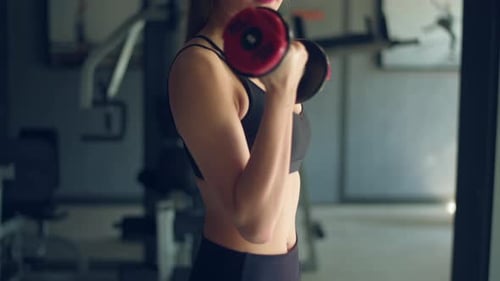 Young Woman Lifting Weights Bicep Curls at the Gym