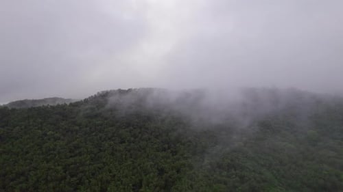 Drone Shot Over Foggy Green Landscapes In The Philippines