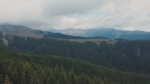 Aerial drone view flying over a dense forest with mountain peaks visible on the horizon