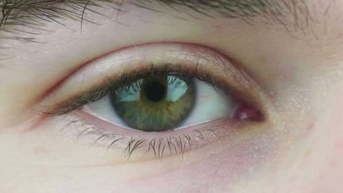 4K Cinematic slow motion macro shot of a green eye, with blue and brown flecks, opening and looking