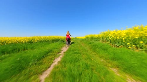FPV of Woman in Red Dress and Dog Riding a Vintage Motorcycle in the Countryside