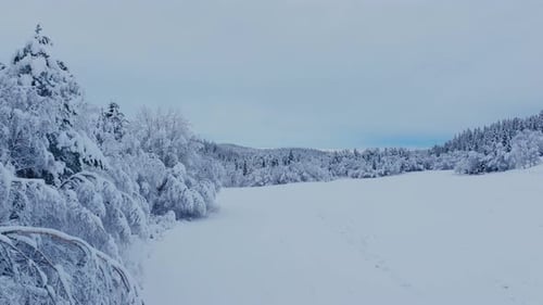 Dense Snow Blanket Over Mountain Lake Forest. Pullback Shot