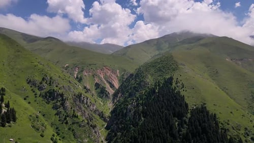 Alpine Meadows And Cloudy Blue Sky
