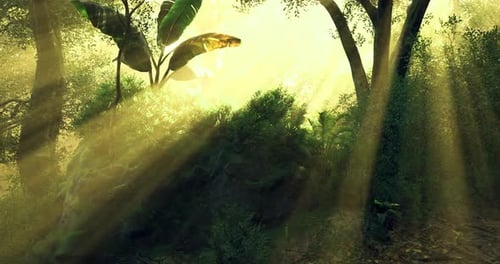 Sunlight Beams Filtering Through Lush Trees in a Vibrant Forest