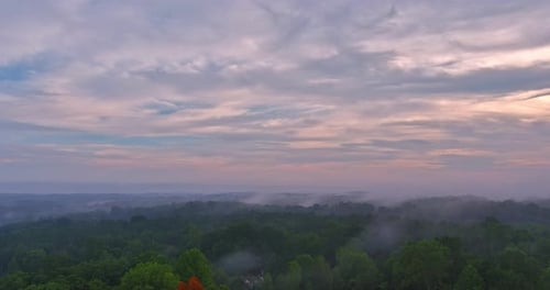 As Sun Ascends Over Horizon Its Golden Rays Pierce Through Veil of Spring Morning Mist Painting