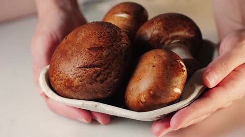 Fresh Champignon Mushrooms Big Portobello Macro Side View Background Chef Man Hold Supermarket Food
