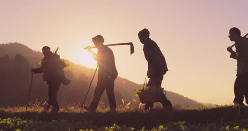 Old Ethnic Chinese Asian Men Walking with Wicker Baskets at Sunset On