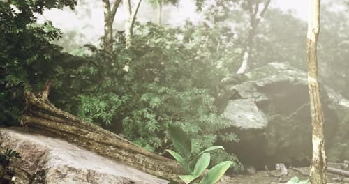 Mystic Woodland Pathway Guides Curious Explorers Towards Hidden Waterfalls