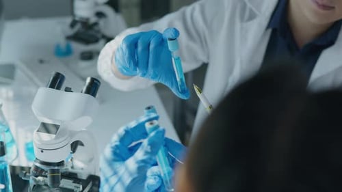 Scientists working test in laboratory for research on pharmacy for medical for disease and virus
