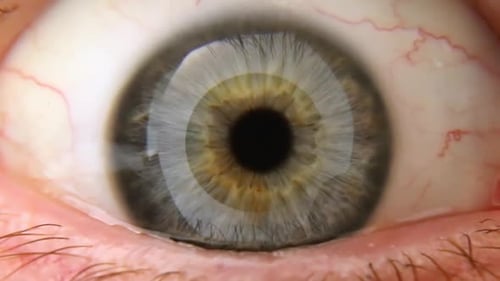 Macro Close-Up of a Human Eye