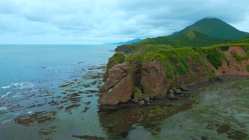 Top view of algae on shore of rocky coast in cloudy weather. Seaweed on coast after storm.
