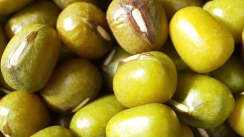 Los frijoles mungo contienen varios antioxidantes