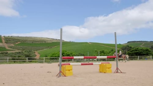Pferdegalopp, Hürdenspringen auf Parade