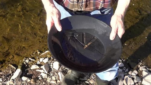 Gold collects in prospector's gold pan.