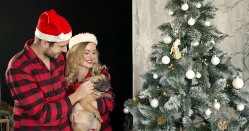 Couple Celebrating Christmas with Dog at Home