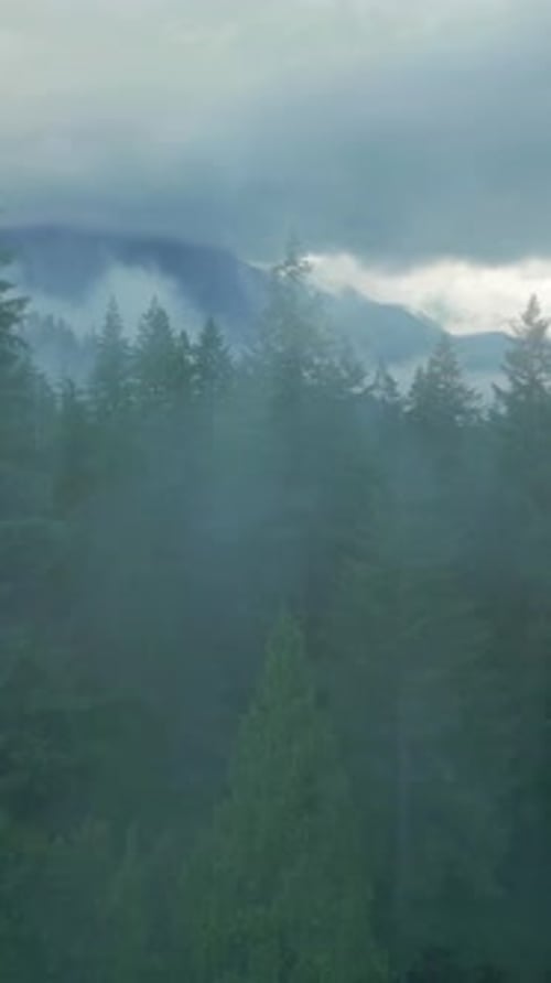 Aerial View of Beautiful Mountain Landscape Fog Rises Over the Mountain Slopes