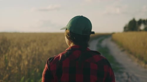 A Female Agronomist Walks By a Wheat Field Inspecting the Harvest at Sunset