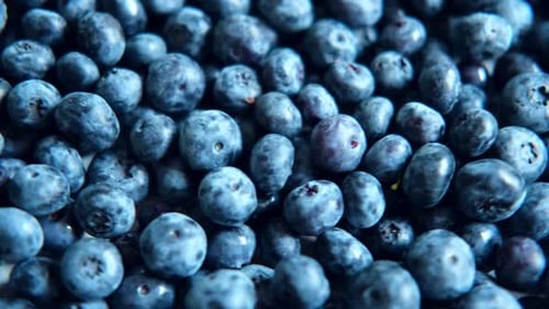 Fresh Blueberries Background Piled Blueberry Spinning Backdrop Sweetest Delight Vibrant Closeup of