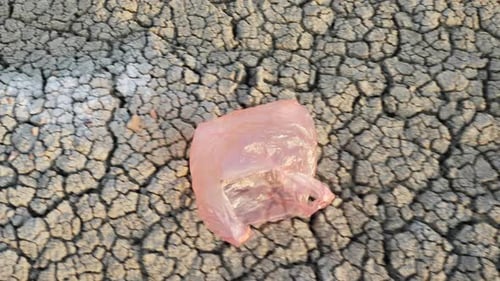 Una bolsa de plástico vuela en tierra seca: desastre ambiental