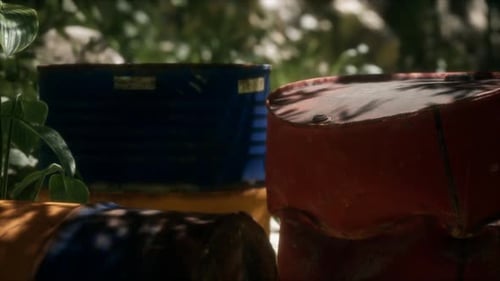 Rusty Barrels in Green Forest