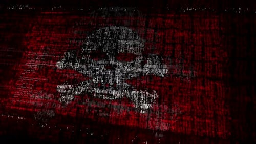 Pirates skull flag waving with security code