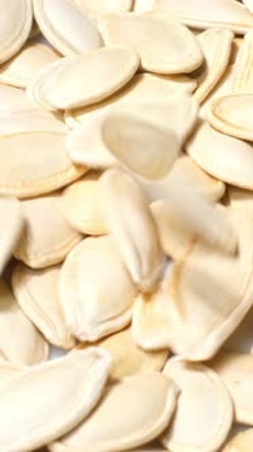 Pumpkin Seeds in a Close Up View
