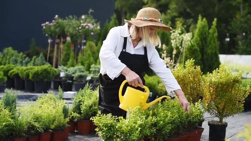 Watering plants. Senior woman is in the garden at daytime. Conception of seasons