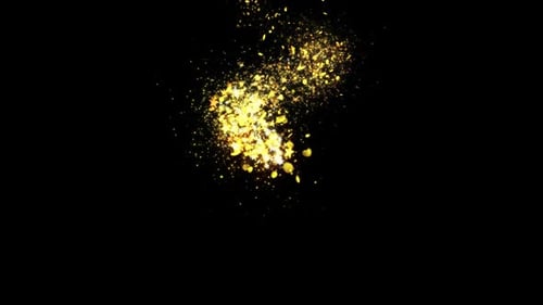 Golden Glitter Flight with Sparkling Light