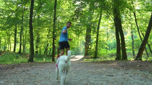 Hombre corriendo con su perro en Sunny Park por la mañana